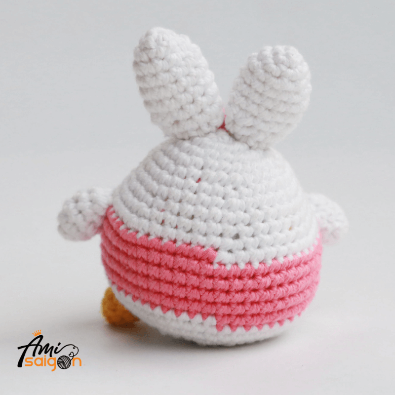 Free Crochet Pattern for Daisy Amigurumi (picture: @amisaigonvn)