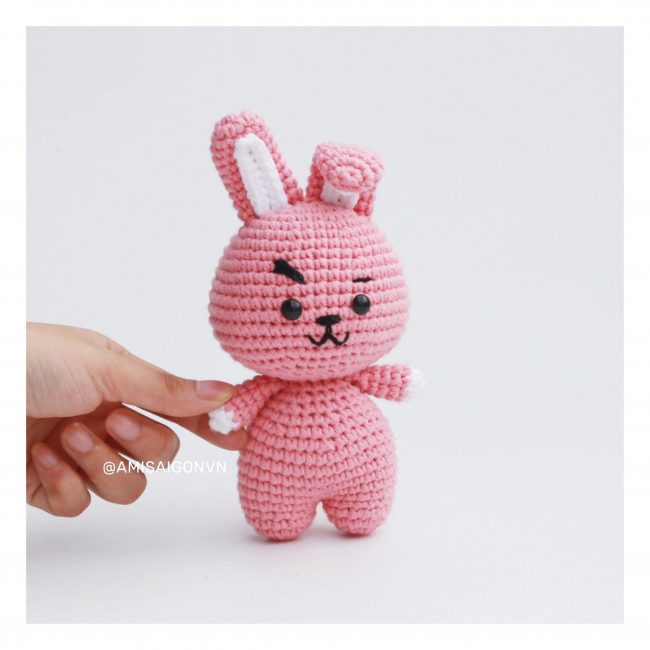cooky-amigurumi-crochet-pattern-amisaigon