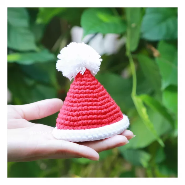 Christmas Santa Hat Amigurumi | Crochet Pattern | Amigurumi Tutorial PDF in English | AmiSaigon